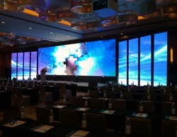 91精品久久久久久久99蜜桃